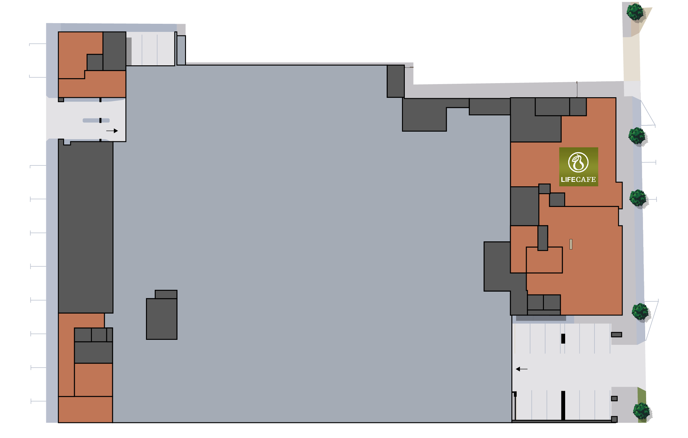 site plan base